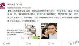 贾乃亮爆料姐姐视频,姐姐视频背后的惊人真相