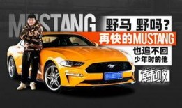 追逐野马在线观看,在线见证野马狂奔的惊心动魄